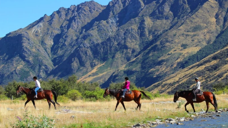 A relaxed paced horse trek through beautiful farmland to the shores of Moke Lake...